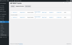 Page screenshot: Settings &rarr; WP REST Cache &rarr; Endpoint API Caches