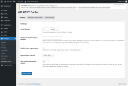 Page screenshot: Settings &rarr; WP REST Cache