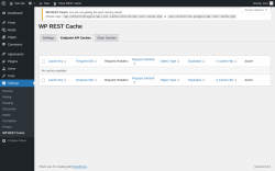 Page screenshot: Settings &rarr; WP REST Cache &rarr; Endpoint API Caches