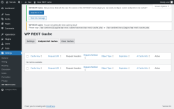 Page screenshot: Settings &rarr; WP REST Cache &rarr; Endpoint API Caches