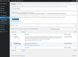 Page screenshot: Plugins &lsaquo; Test site &mdash; WordPress