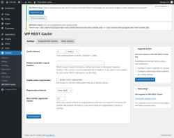 Page screenshot: Settings &rarr; WP REST Cache