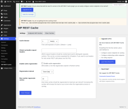 Page screenshot: Settings &rarr; WP REST Cache