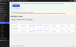 Page screenshot: Settings &rarr; WP REST Cache &rarr; Endpoint API Caches