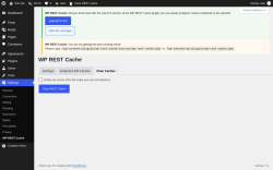Page screenshot: Settings &rarr; WP REST Cache &rarr; Clear Caches