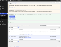 Page screenshot: Plugins &lsaquo; Test site &mdash; WordPress