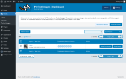 Page screenshot: Media &rarr; Perfect Images 