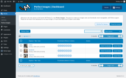 Page screenshot: Media &rarr; Perfect Images 