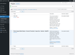 Page screenshot: Plugins &lsaquo; Test site &mdash; WordPress