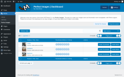 Page screenshot: Media &rarr; Perfect Images 