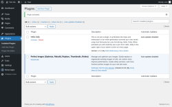 Page screenshot: Plugins &lsaquo; Test site &mdash; WordPress