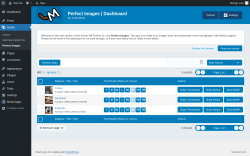 Page screenshot: Media &rarr; Perfect Images 