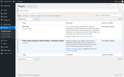 Page screenshot: Plugins &lsaquo; Test site &mdash; WordPress