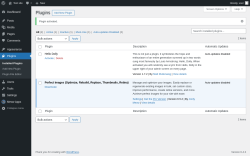 Page screenshot: Plugins &lsaquo; Test site &mdash; WordPress