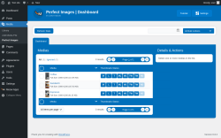 Page screenshot: Media → Perfect Images 