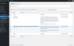 Page screenshot: Plugins &lsaquo; Test site &mdash; WordPress