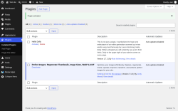 Page screenshot: Plugins &lsaquo; Test site &mdash; WordPress