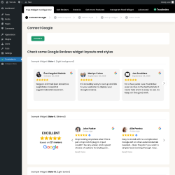 Page screenshot: Google reviews ‹ Test site — WordPress