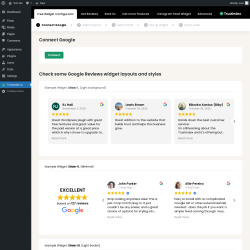 Page screenshot: Google reviews ‹ Test site — WordPress