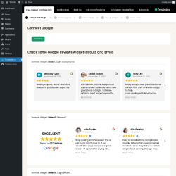 Page screenshot: Google reviews &lsaquo; Test site &mdash; WordPress