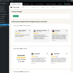 Page screenshot: Google reviews &lsaquo; Test site &mdash; WordPress