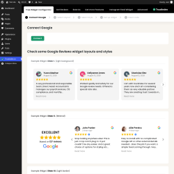 Page screenshot: Google reviews &lsaquo; Test site &mdash; WordPress