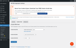 Page screenshot: RSS Aggregator → Settings → Custom Feed