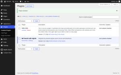Page screenshot: Plugins &lsaquo; Test site &mdash; WordPress