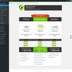 Page screenshot: WP Activity Log &rarr; Upgrade&nbsp;&nbsp;➤