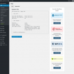 Page screenshot: WP Activity Log &rarr; Help &rarr; System Info