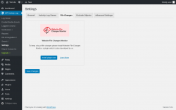 Page screenshot: WP Activity Log &rarr; Settings &rarr; 
					File Changes                