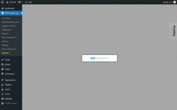 Page screenshot: WP Activity Log &rarr; Upgrade&nbsp;&nbsp;➤
