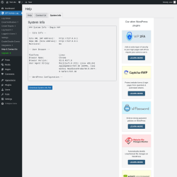 Page screenshot: WP Activity Log &rarr; Help & Contact Us &rarr; System Info
