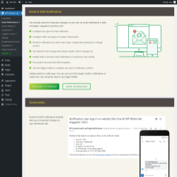 Page screenshot: WP Activity Log &rarr; Email Notifications ⇪