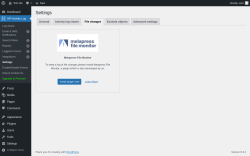Page screenshot: WP Activity Log &rarr; Settings &rarr; 
					File changes				
