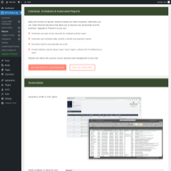 Page screenshot: WP Activity Log &rarr; Reports 