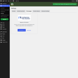 Page screenshot: WP Activity Log &rarr; Settings &rarr; 
					File changes				