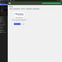 Page screenshot: WP Activity Log &rarr; Settings &rarr; 
					File changes				