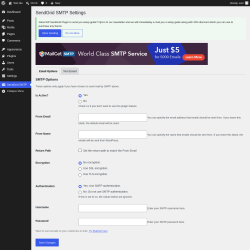 Page screenshot: SendGrid SMTP