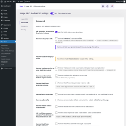 Page screenshot: SEO → Advanced → Advanced