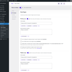 Page screenshot: SEO → Titles & Metas → Post Types
