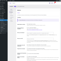 Page screenshot: SEO → Analytics → Matomo