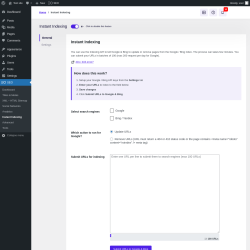 Page screenshot: SEO → Instant Indexing