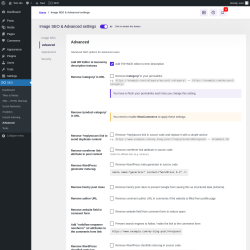 Page screenshot: SEO → Advanced → Advanced