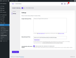 Page screenshot: SEO → Instant Indexing → Settings