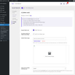 Page screenshot: SEO → Social Networks → X (Twitter card)