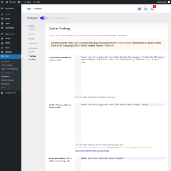 Page screenshot: SEO → Analytics → Custom Tracking