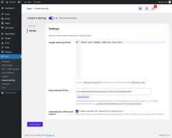 Page screenshot: SEO → Instant Indexing → Settings