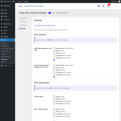Page screenshot: SEO → Advanced → Security