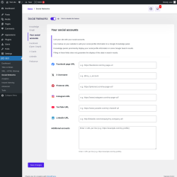 Page screenshot: SEO → Social Networks → Your social accounts